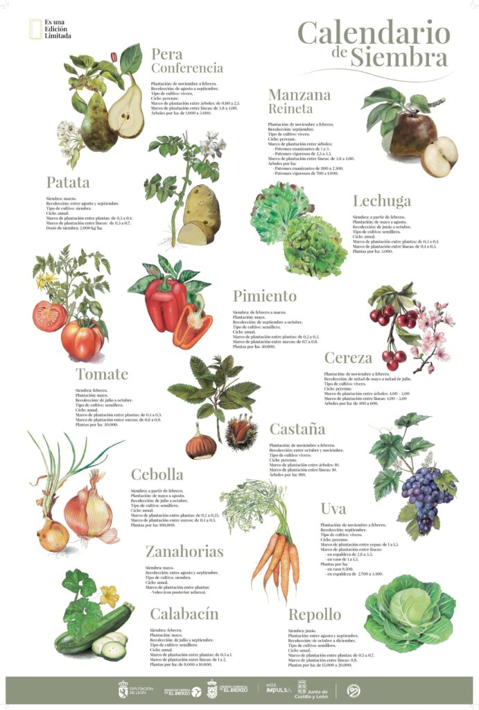 BDT_Calendario_de_Siembra_VF_(60x90_Con_Marcas).pdf